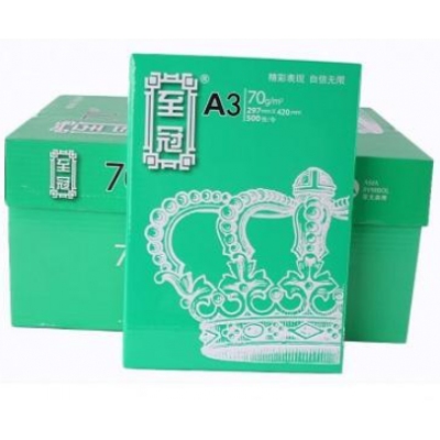 A3纸 至冠