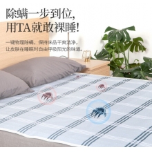 电褥子